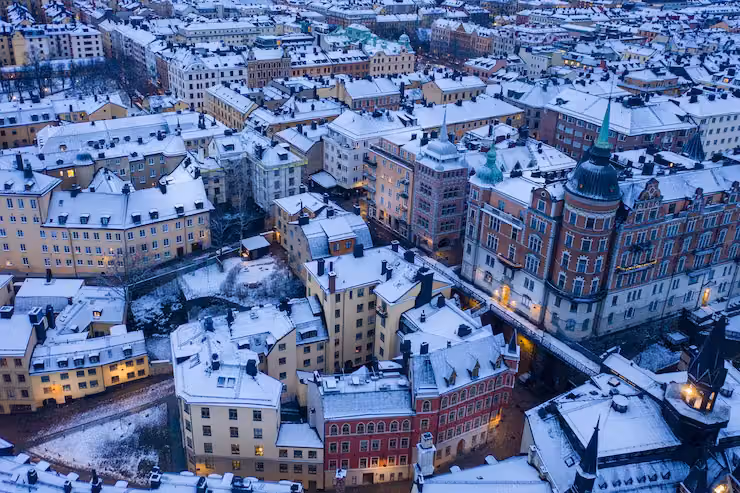 Vista invernal de Copenhague al comienzo del recorrido.